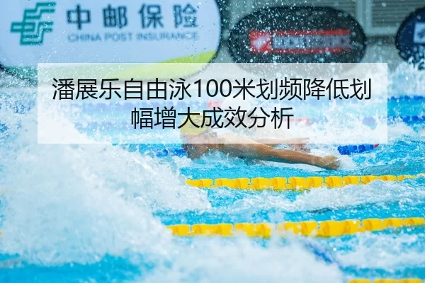 pan-zhan-le-zi-you-yong-mi-hua-pin-jiang-di-hua-fu-zeng-da-cheng-xiao-fen-xi-2-702.jpg