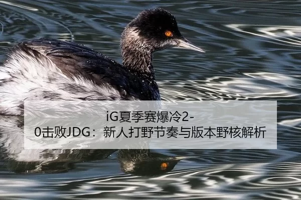 xia-ji-sai-bao-leng-ji-bai-xin-ren-da-ye-jie-zou-yu-ban-ben-ye-he-jie-xi-2-302.jpg