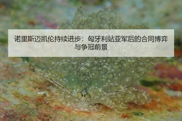 诺里斯迈凯伦持续进步：匈牙利站亚军后的合同博弈与争冠前景